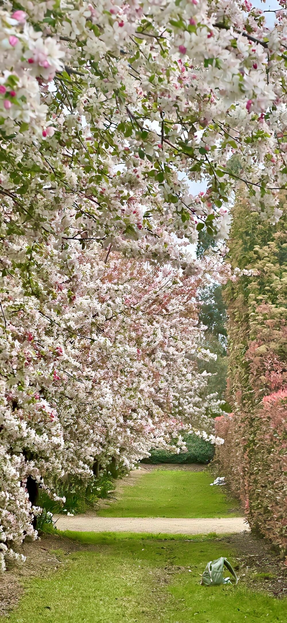 分享ins风壁纸 .ᐟ.ᐟ