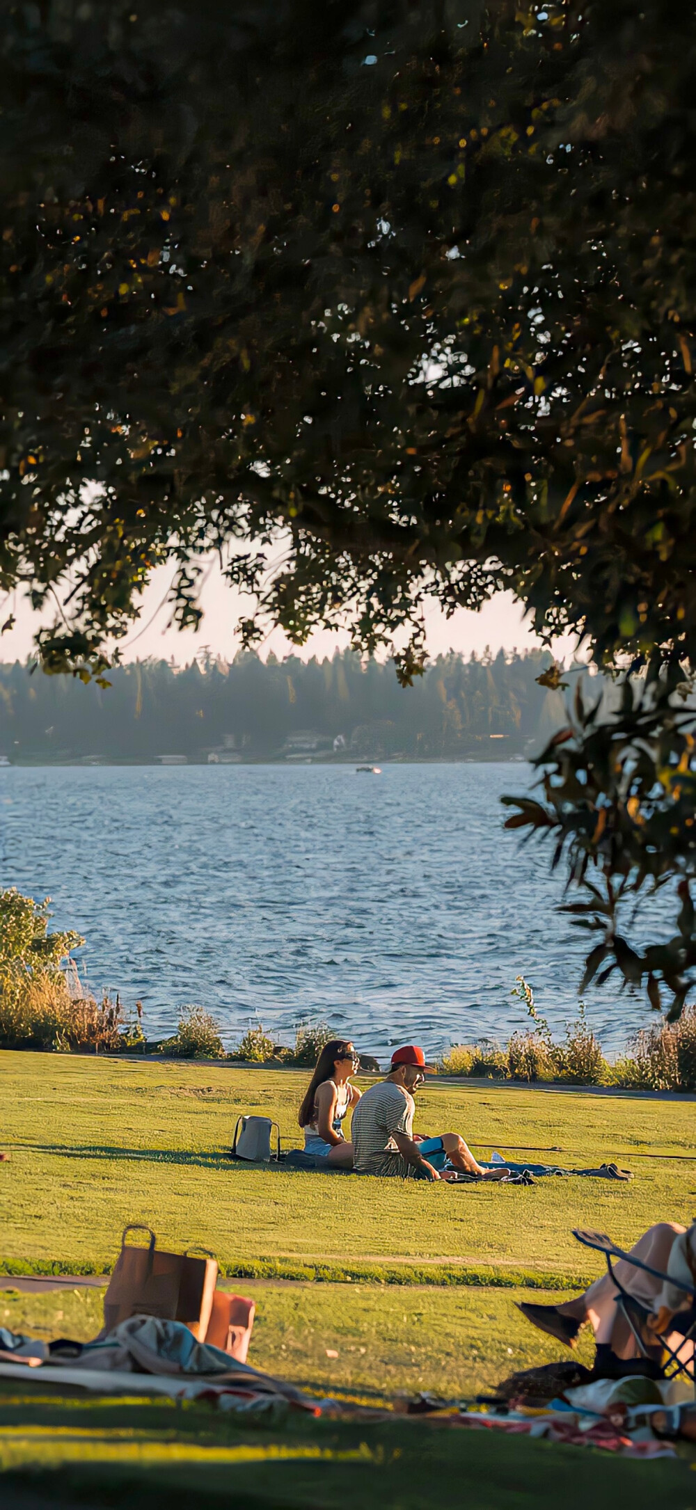 分享ins风壁纸 .ᐟ.ᐟ