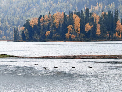 2025年9月底新疆阿勒泰赏秋之旅