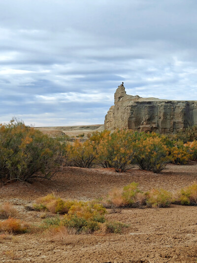 2025年9月底新疆阿勒泰赏秋之旅