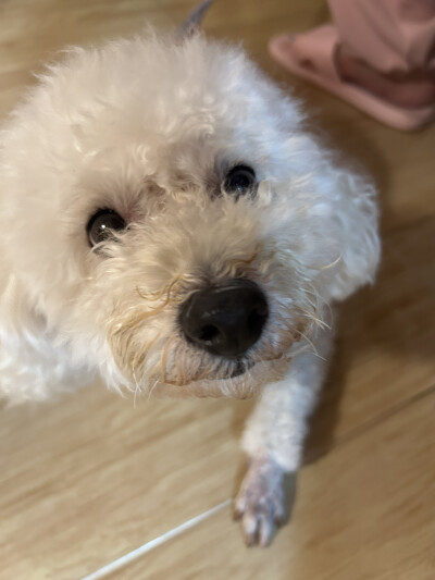 生活碎片