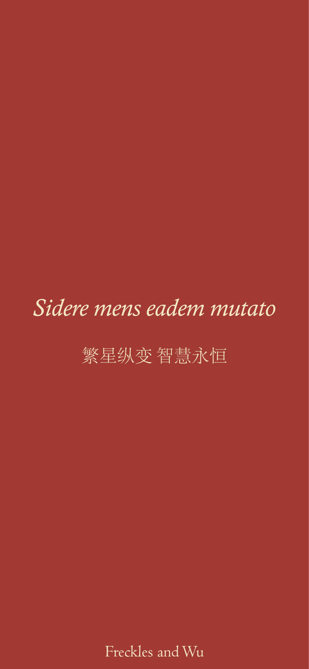 壁纸