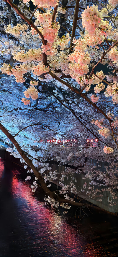 ios26裸眼3D景深壁纸
#氛围感壁纸#