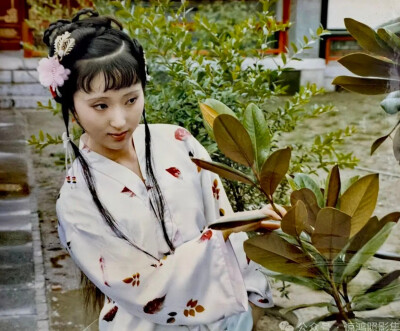 红楼梦