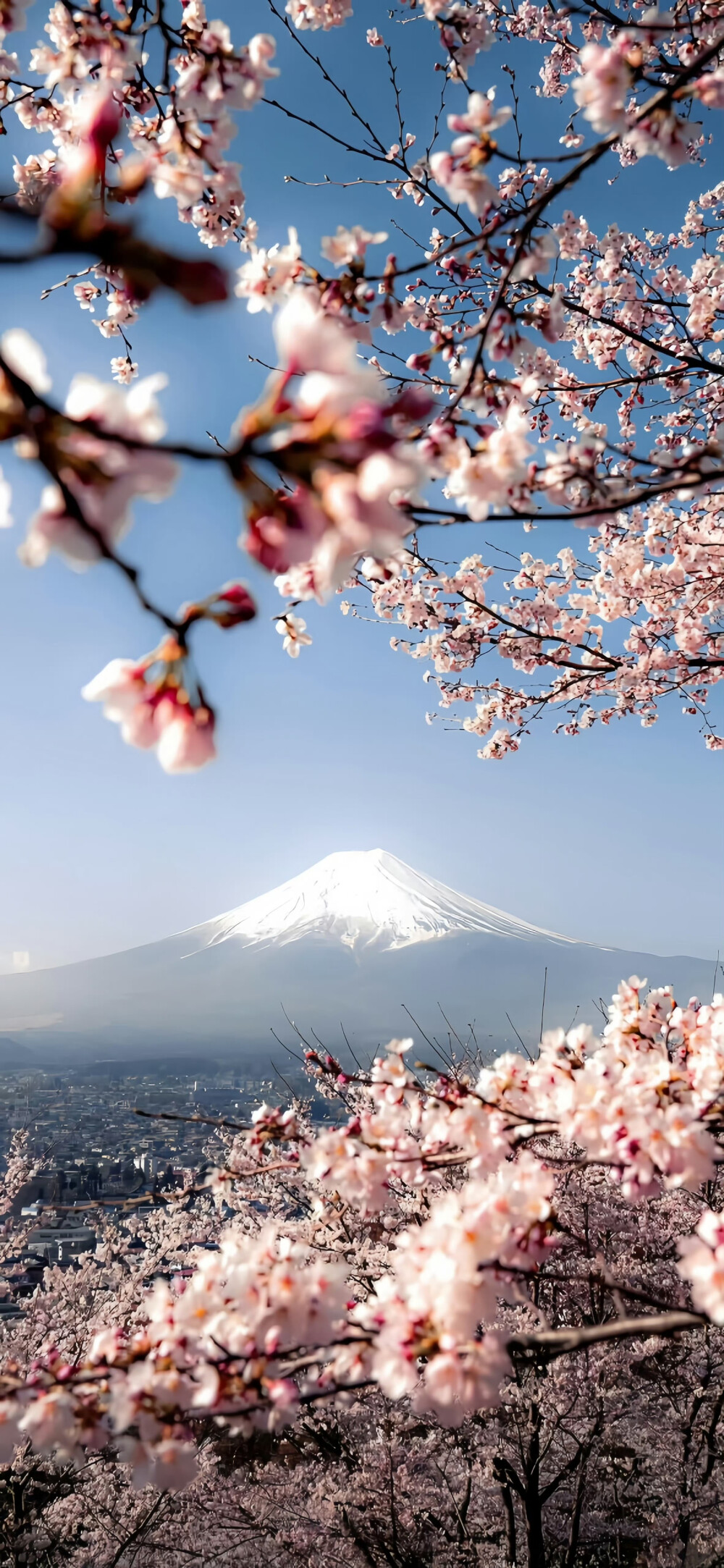 ios26裸眼3D景深壁纸
#氛围感壁纸#