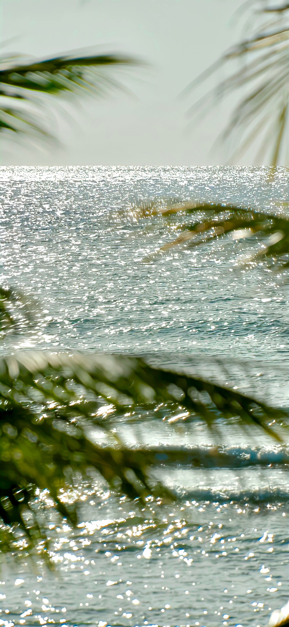 分享ins风壁纸 .ᐟ.ᐟ