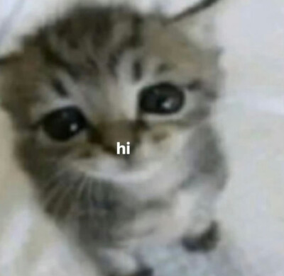 (ㅇㅂㅇ)
