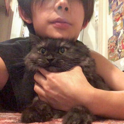 教司