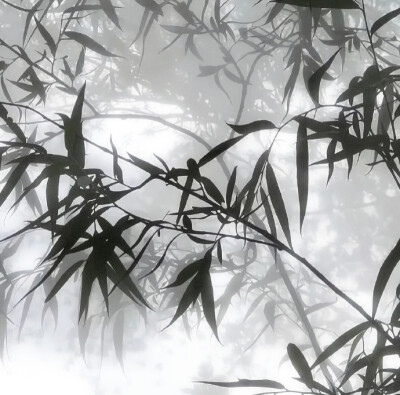 轻弹一首别离名为茉莉雨ˇ