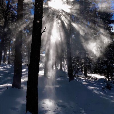 北纬的思念被季风吹远
叶舒华
起司名札