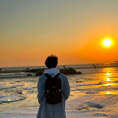 海水与礁石相互碰撞玫瑰迎着夏日盛放