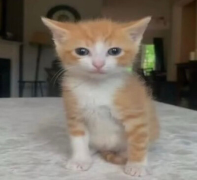 (ㅇㅂㅇ)