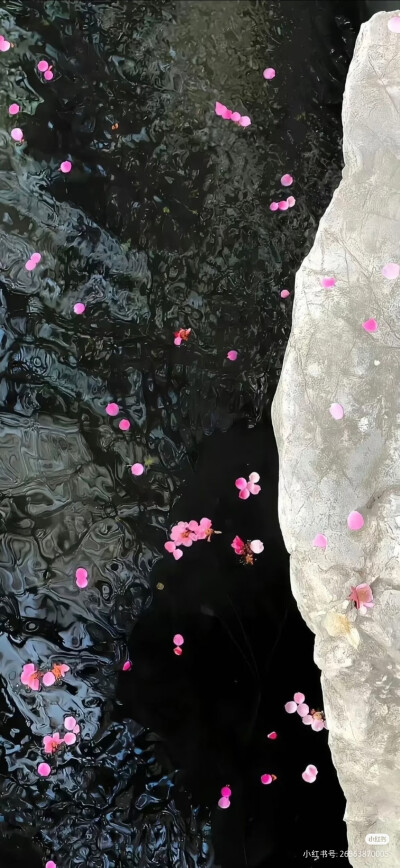 景深壁纸 侵权删