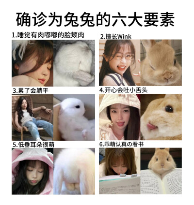 莫非酥心真的是只兔？！