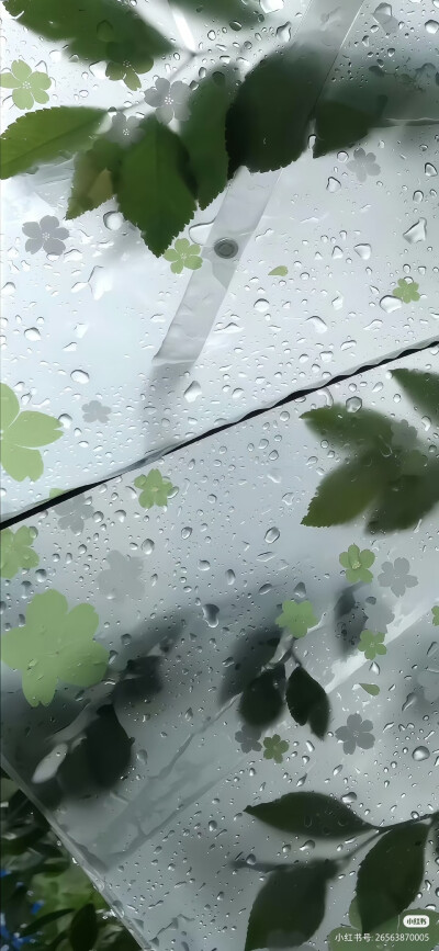 景深壁纸 侵权删