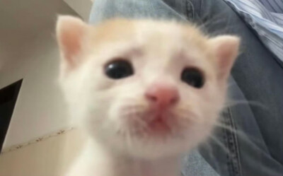 (ㅇㅂㅇ)
