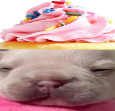 (ㅇㅂㅇ)