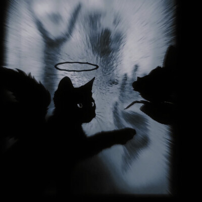 北纬的思念被季风吹远
叶舒华
起司名札