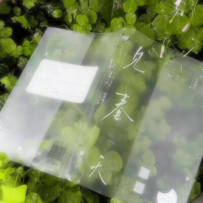 ''추운 겨울-雪芽梅子季（Spring is coming...）