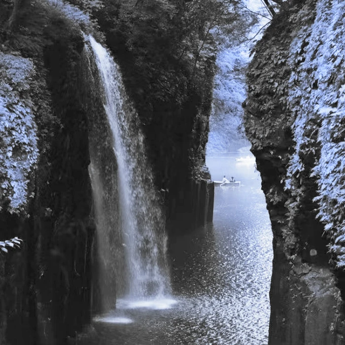 我一点一点猜 猜不出你的独白