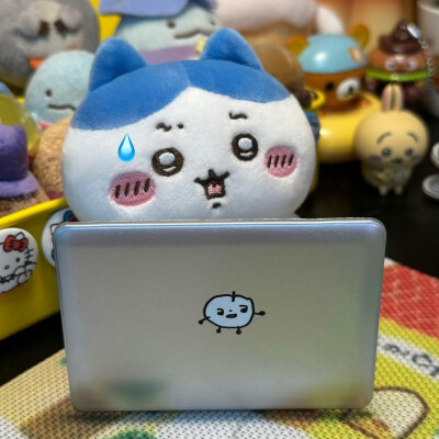 小猫拾到你的鱼干 道谢后美滋滋地跑了(ฅ^•ω•^ฅ)