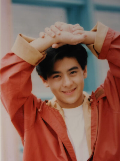 林志颖早期帅图