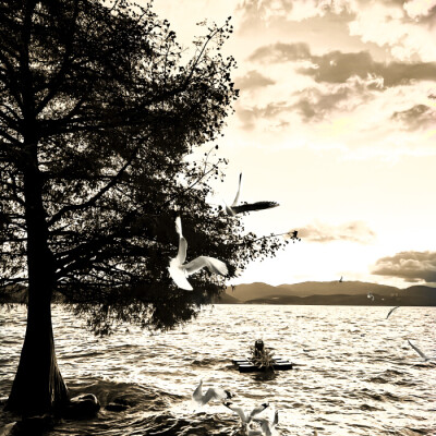 我終於一個人了