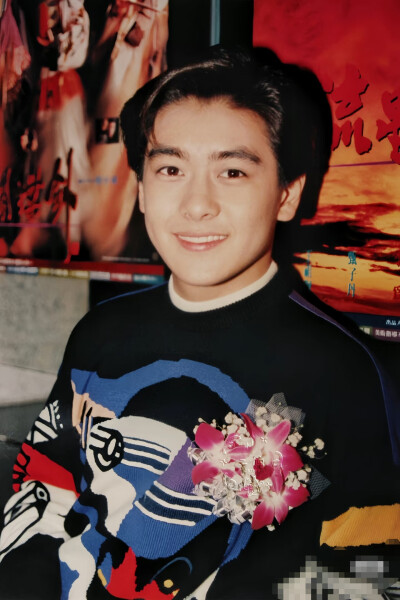 林志颖早期帅图