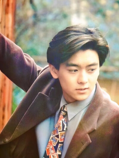 林志颖早期帅图