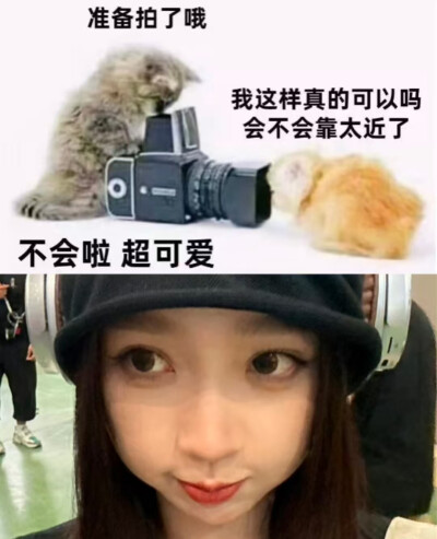 欣欣