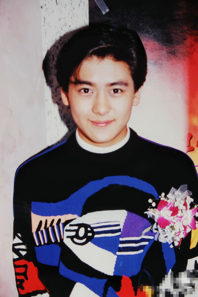 林志颖早期帅图