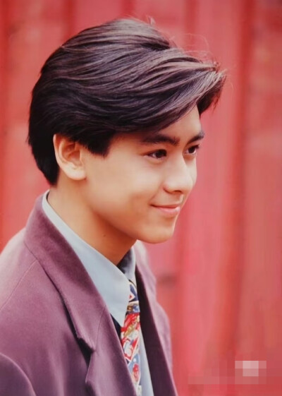 林志颖早期帅图