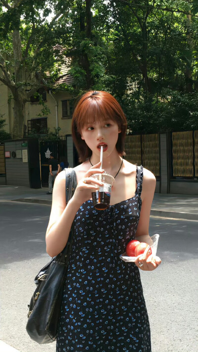 南笙北路，浪迹天涯。