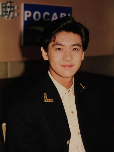 林志颖早期帅图