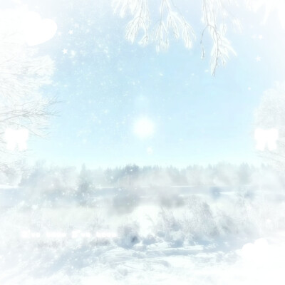 ｜谨以霜雪共白头 