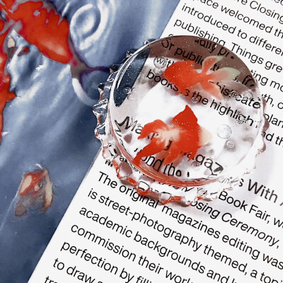 红旗漫卷，山河长安
周也
起司名札