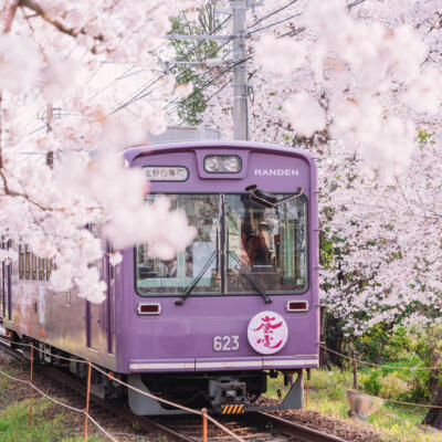 女生头像/背景图/封面