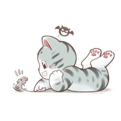猫咪头像