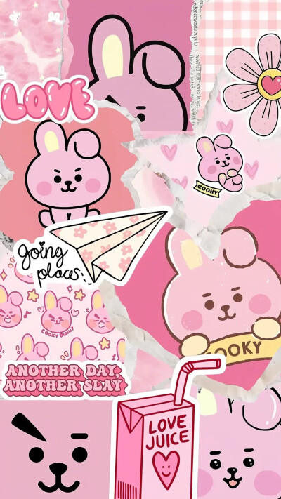 KPOP壁纸第54弹（line friends-cookie拼贴壁纸）