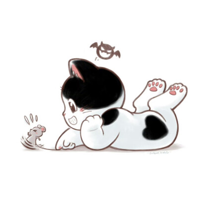 猫咪头像