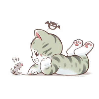 猫咪头像