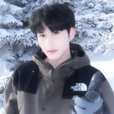  雪地小狗