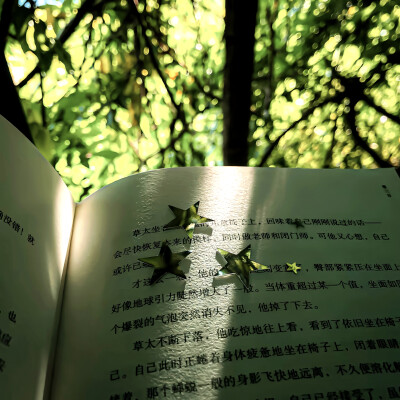 林间光影
