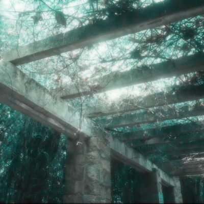 我们都无法预知某个瞬间的价值 直到这个瞬间成为回忆