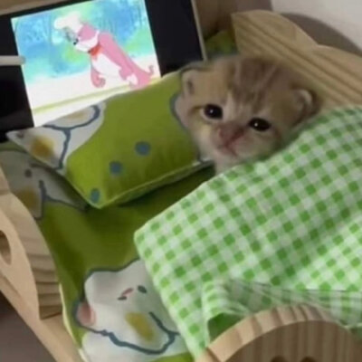 /