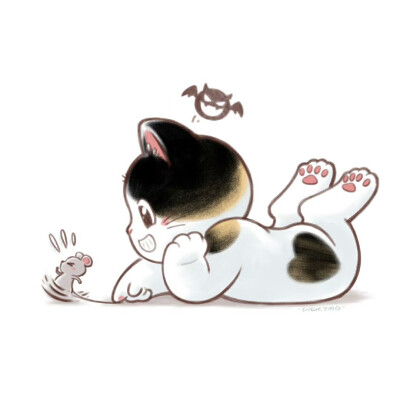 猫咪头像