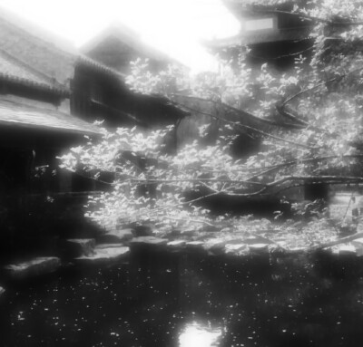 眼泪是爱的雾
原图cr崔稚渝