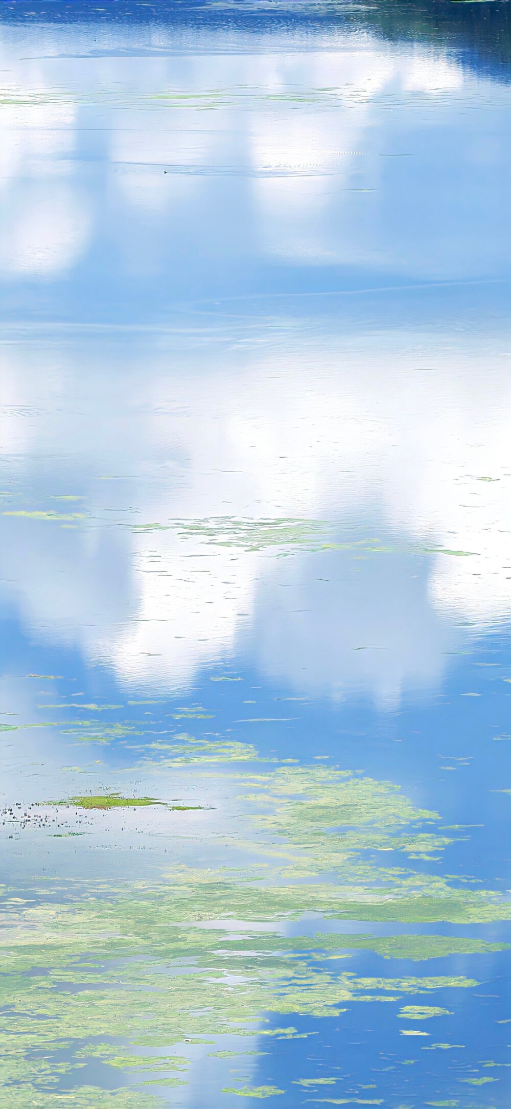 壁纸