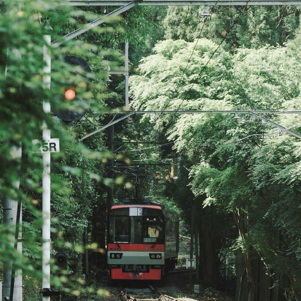 女生头像/背景图/封面