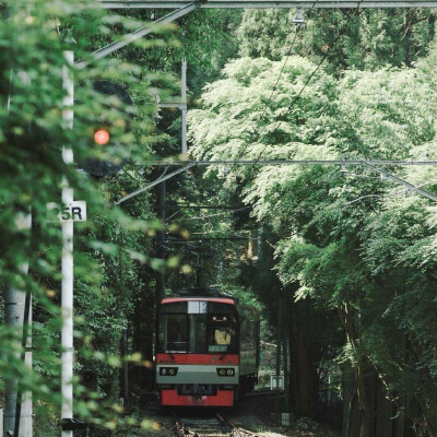 女生头像/背景图/封面